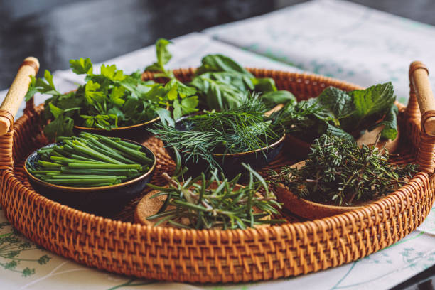 Fresh herbs arranged in a basket
