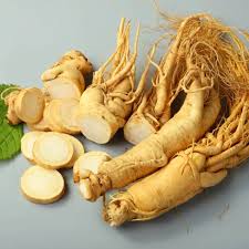 Traditional roots used for herbal wellness